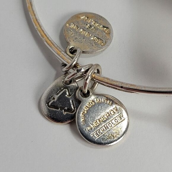 Alex and Ani Adjustable Charm Bracelet Marigold October - Picture 2 of 4